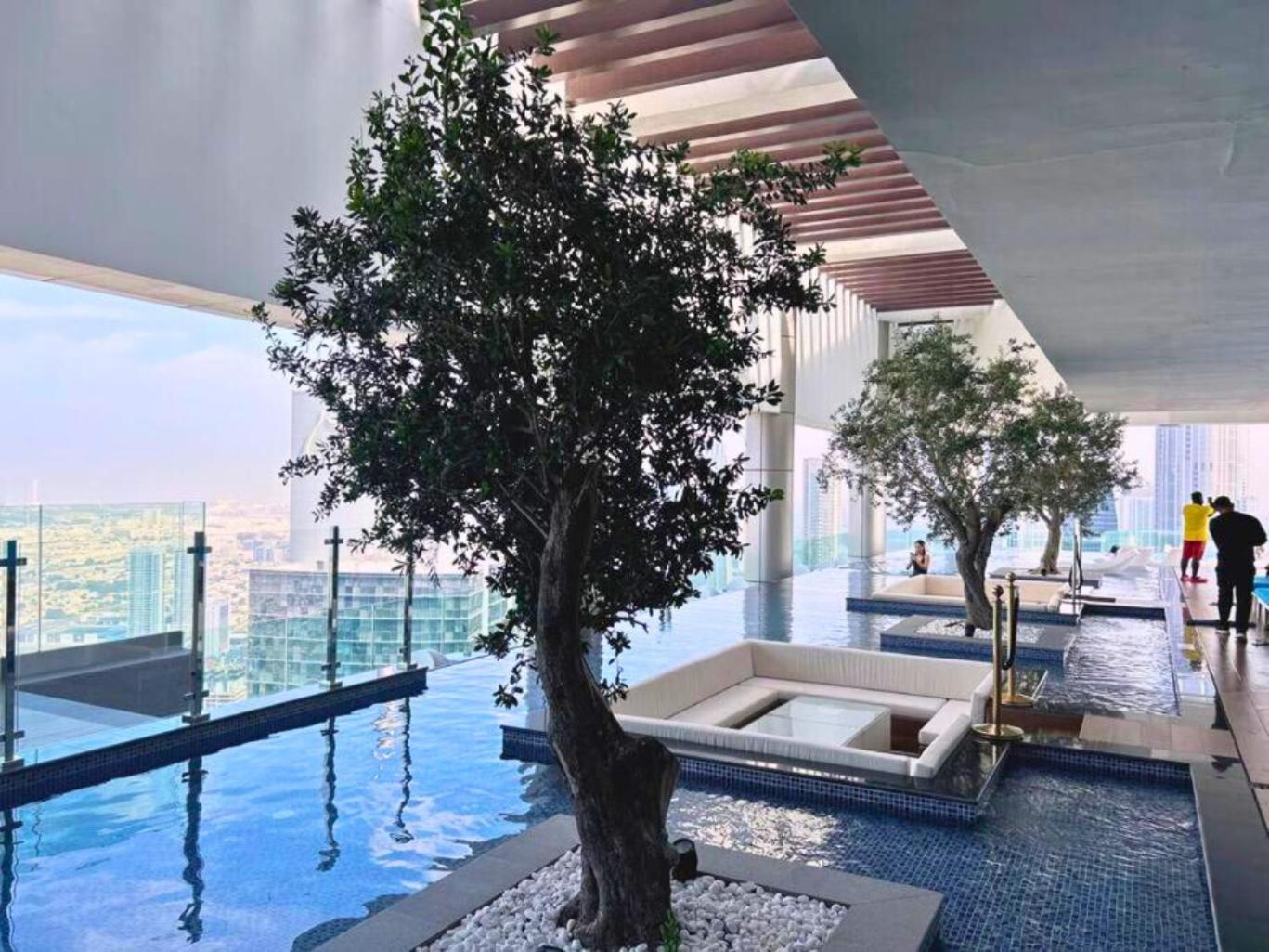 5 Star Living Infinity Pool With Burj Khalifa View
